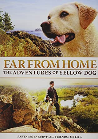 Far From Home: The adventures of yellow dog
