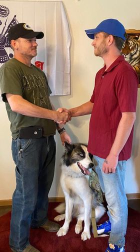 King & Diamond K9 : Dog's helping veterans