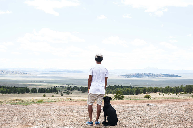 Dogs and mental health