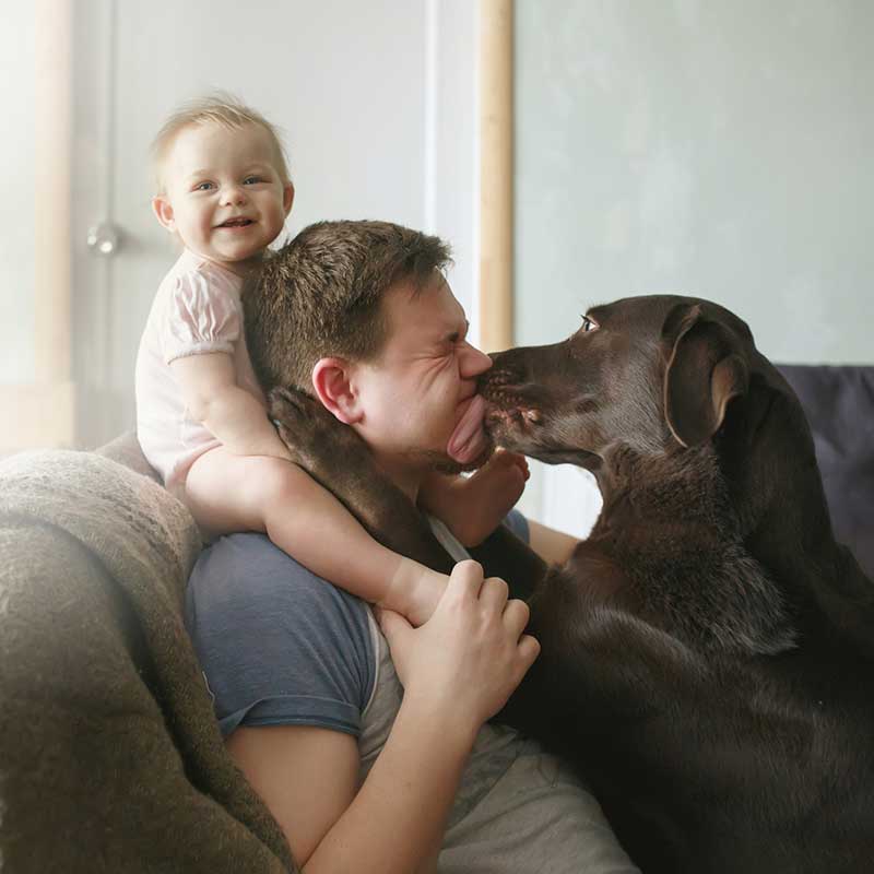 Get Your Dog Ready for a Baby