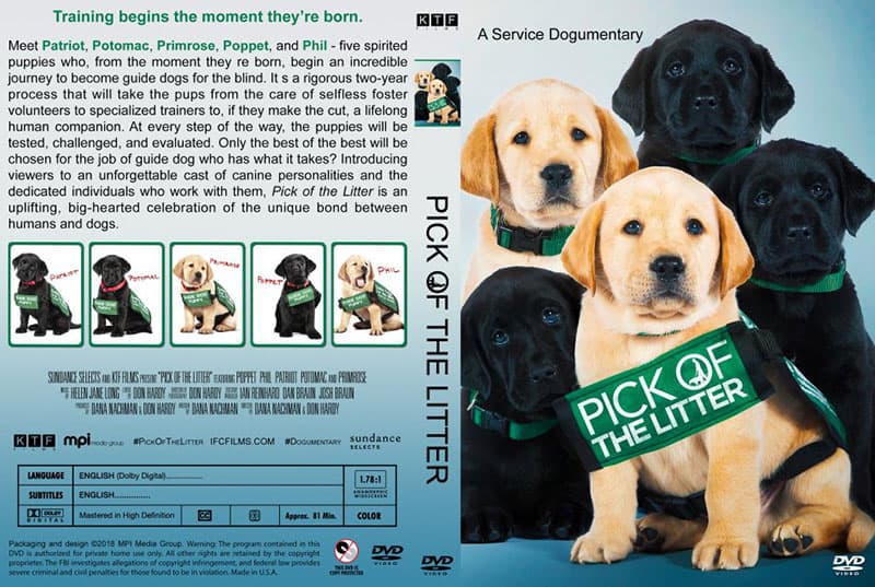 Pick of the Litter movie - a Service Dogumentary