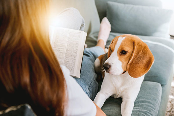 Woman reading a book with a dog looking on