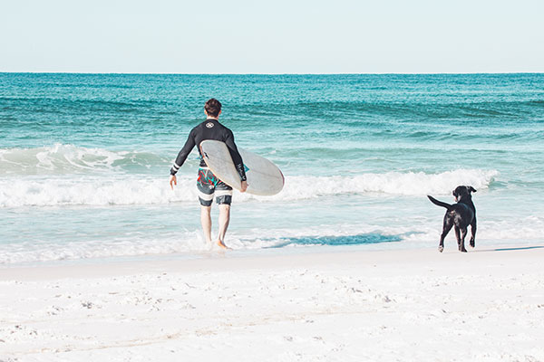 Surfer and dog