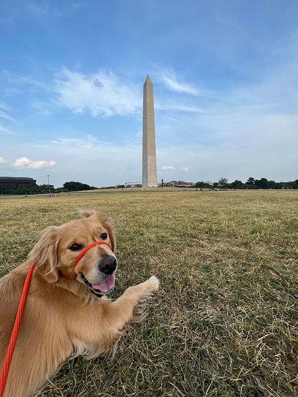 Parker and Washington Monument
