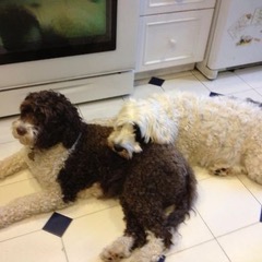Spray and her daughter Ezzie