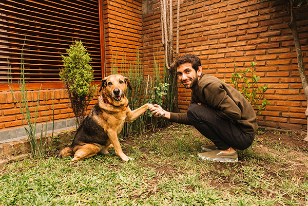 Benefits of dog companionship