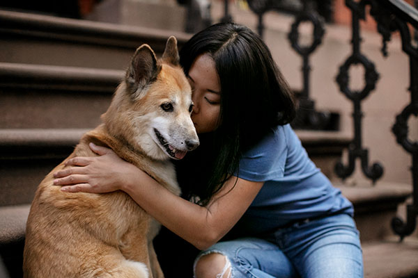 Dogs are therapeutic