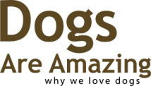 Dogs are Amazing